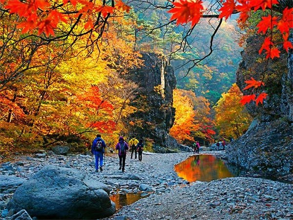 Garganta Jeolgol Gorge en octubre. Geoparque Mundial Cheongsong (República de Corea) © Cheongsong UNESCO Global Geopark