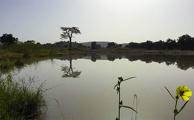 W-Arly-Pendjari Complex, Benin, Burkina Faso, Niger
