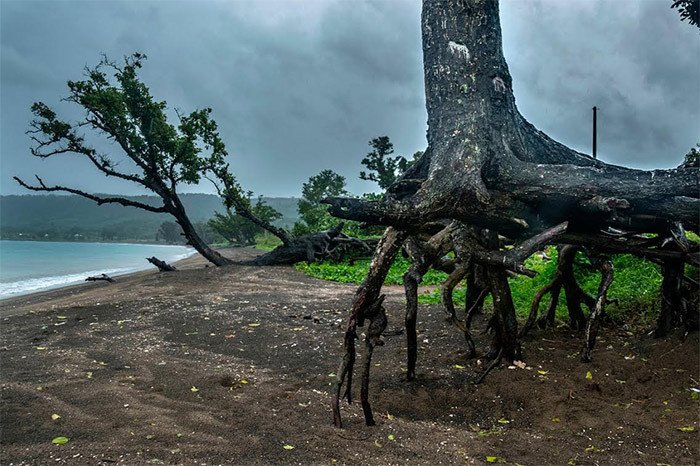 Playa de Mele en Vanuatu, archipiélago cuyas costas retrocedesn ante el avance de la altura del nivel del mar. © Pedro Armestre/ Greenpeace Handout