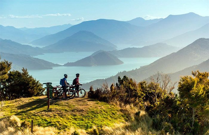 El sendero Queen Charlotte Track, cerca de Picton, permite disfrutar de los espectaculares paisajes de Marlborough sounds. Mike Heydon/Turismo de Nueva Zelanda.