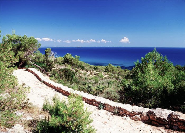 Camino de Es Pujada. Fomentera. Imagen Govern de les Illes Balears/Conselleria dInnovació, Recerca i Turisme / Agència de Turisme de les Illes Balears