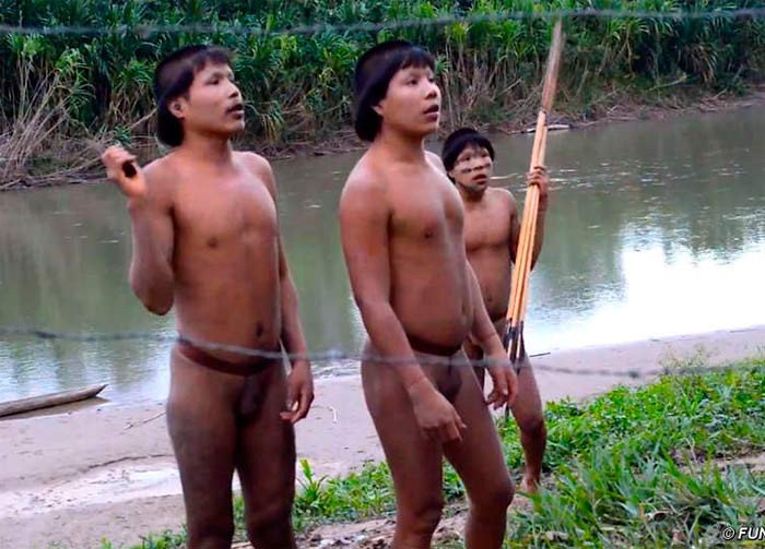 Indios Sapanawa  denunciando en 2014 la masacre que padeció su tribu. Imagen /FUNAI/Survival 
