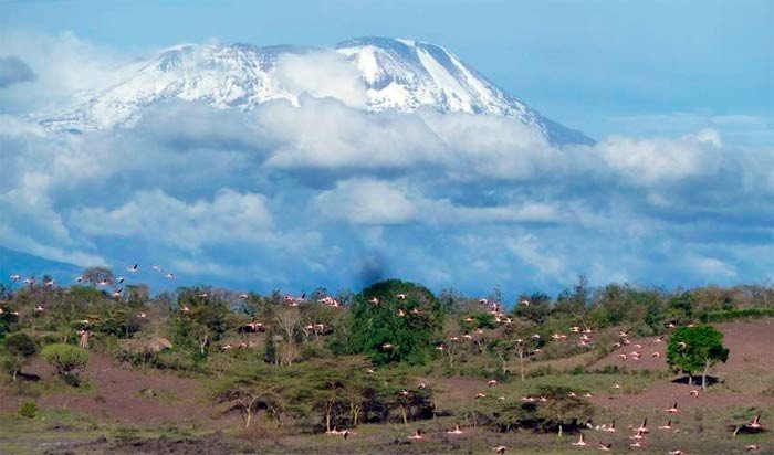 Parque Nacional del Kilimanjaro, Tanzania. Foto IUCN / Elena Osipova