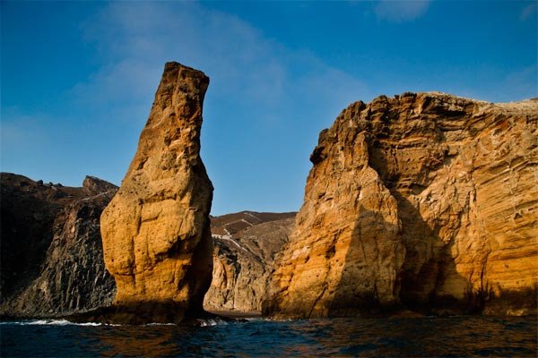 Revillagigedo es uno de los ecosistemas más prístinos del Pacífico mexicano. Imagen Carlos Aguilera WWF