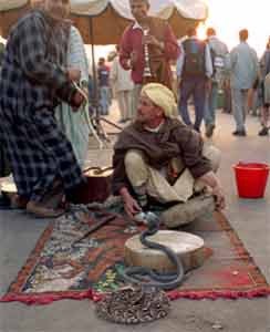Encantador de serpientes, en el mercado de Marrakech. imagen de guiarte.com. Copyright.