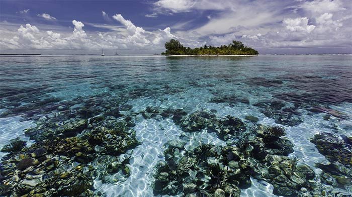 Desde 1996, la zona costera de Belice es Patrimonio Mundial de la UNESCO. Imagen de WWF