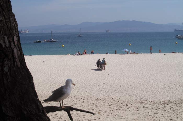 Fitur se celebra en un momento de optimismo para el turismo español. En la foto, playa de las Islas Cíes. Guiarte.com