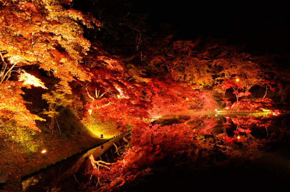 Paisaje nocturno en torno al castillo de Hirosaki ©Hirosaki City©JNTO.jpg