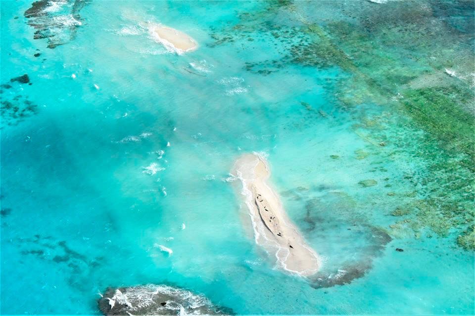 Focas monje sobre la arena en un pequeño islote del atolón French Frigate Shoals, en una imagen del  U.S. Fish and Wildlife Service