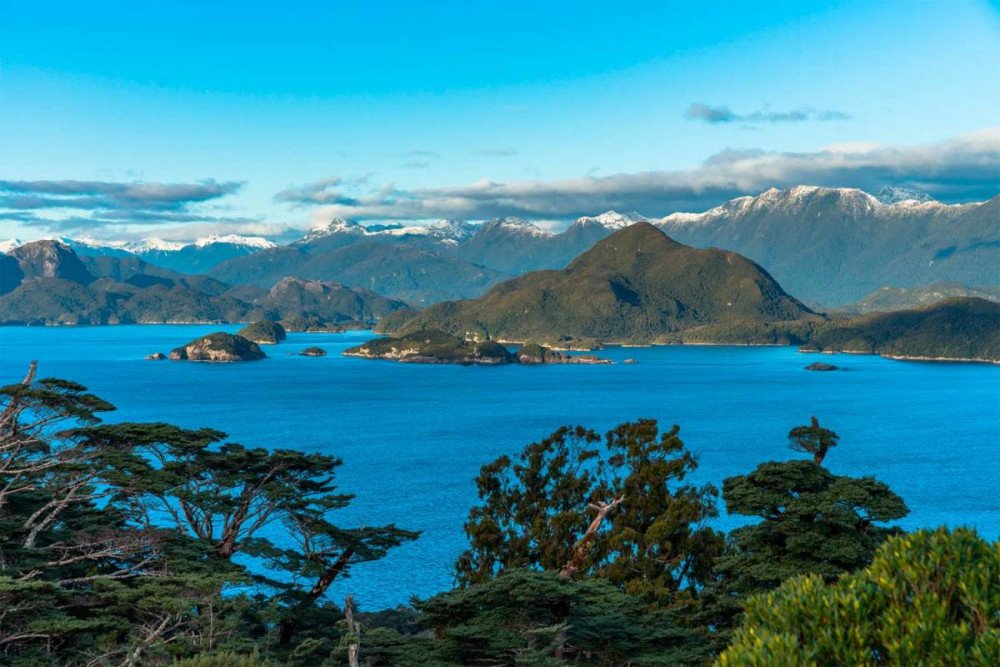 Dusky Sound es uno de los tramos más intactos de Nueva Zelanda, un refugio para las especies vulnerables. Imagen de Turismo de Nueva Zelanda
