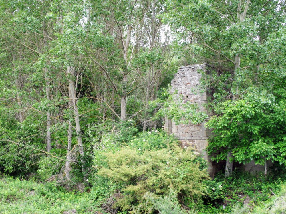 Ruinas del convento franciscano de Cerezal de Tremor, otro punto clave de la ruta leonesa de Hermann Künig. Imagen de Tomás Alvarez