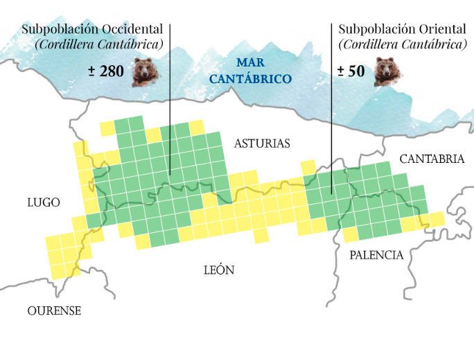Territorios de la población cantábrica  de osos, según la Fundación Oso Pardo