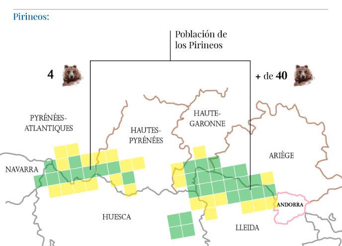 Territorios de la población pirenaica  de osos, según la Fundación Oso Pardo
