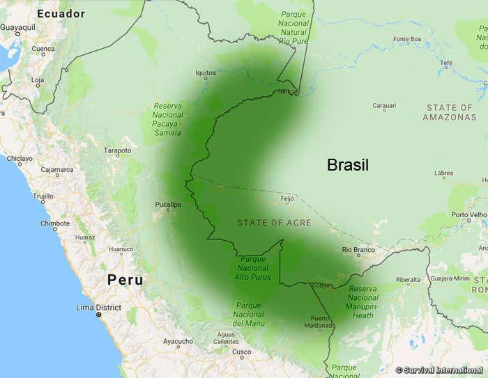 En los límites de Perú, Brasil y Bolivia está la Frontera amazónica de los no contactados, con el mayor número de pueblos indígenas aislados. Imagen de Survival Int,