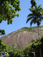 Montañas y vegetación en Río.