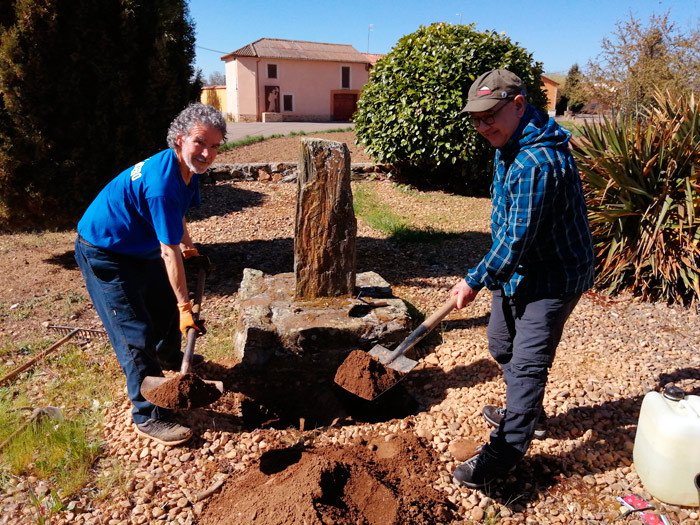 Saturio Aller, titular de la Asociación Rey Ordoño I – Amigos de la Cepeda, y el peregrino Norman Sinclair preparan el terreno para plantar las rosas peregrinas en Villamejil.