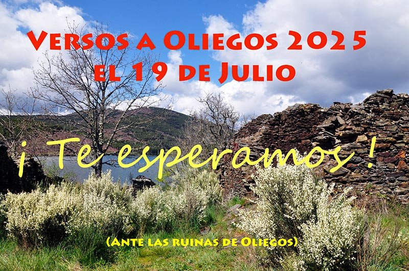 Imagen de Una cita extraordinaria: Versos a Oliegos 2025