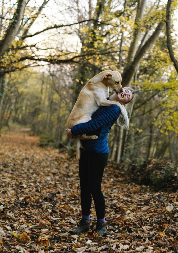 Imagen de Dónde viajar con tus mascotas