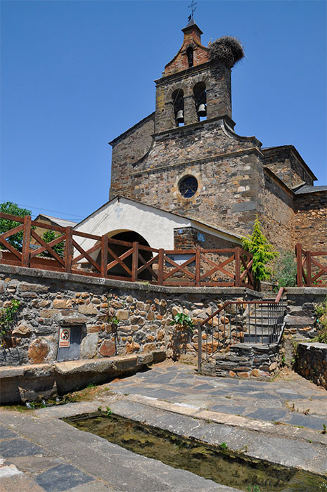 Flores peregrinas, en Sueros de Cepeda