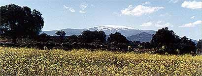 La Sierra de Béjar, en mayo, desde Santibáñez de Béjar. Foto guiarte