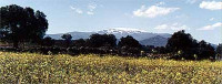 La Sierra de Béjar, en mayo, d...