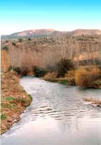 Rios y arroyos riegan el territorio comarcal. El principal es el Turia.