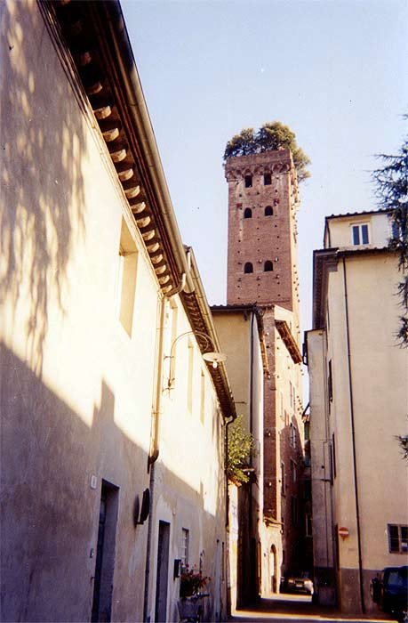 La Torre Guinigi, uno de los elementos más populares de Lucca. Imagen de Guiarte.com