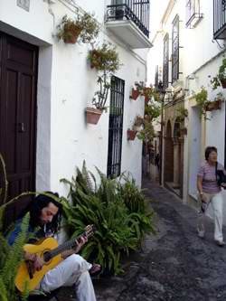 Color y música en la popular Calleja de las Flores. guiarte.com. copyright