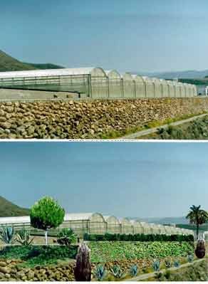 Invernadero, antes y después de aplicar soluciones para atenuar el impacto ambiental del mismo.