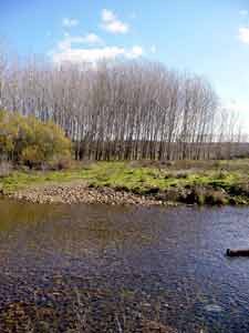 Las purísimas aguas del río Tuerto en Villamejil, León, España. guiarte,com Copyright