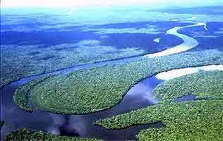 El avance humano va limitando paisajes como este de la Amazonía. Imagen de greenpeace.org