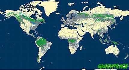Mapa de Greenpeace con las superficies que quedan de bosque en la tierra, en verde.