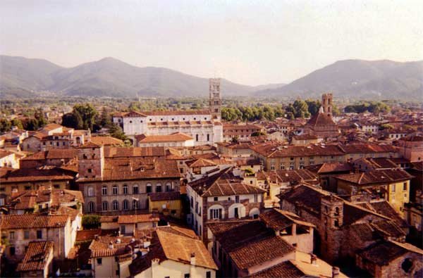 Imagen de Lucca desde la torre Guinigi. Fotografía de guiarte. Copyright
