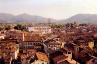 Imagen de Lucca desde la torre...
