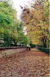 Los jardines de Aranjuez son propicios para el paseo romántico. Imagen de guiarte.com Copyright