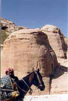 Beduino con caballería, en las...