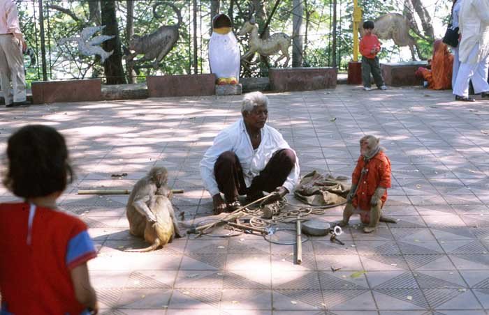 Un domador de monos ambulante, en el parque de Malabar Hill. Fotografía de guiarte.com. Copyright
