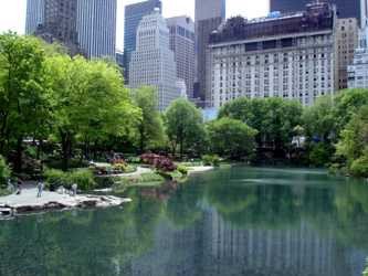 Los altos edificios se reflejan en las aguas del Central Park. guiarte,com
