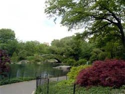 Imagen de Central Park