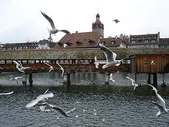 Puente, en Lucerna, una bella ciudad turística suiza. guiarte.com