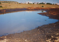 Charco de petróleo junto a las...