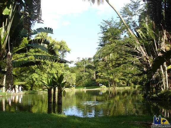 Lago en el Jardín Botánico de Río.
