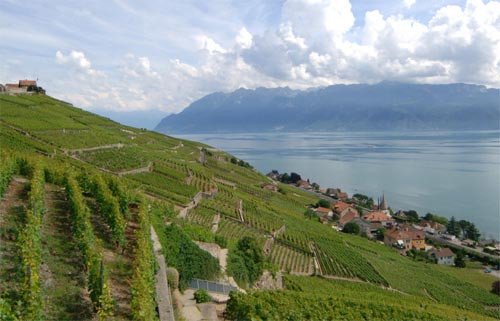 Lavaux, viñedos en terrazas frente al lago y los Alpes (Suiza) © UNESCO/Niamh Burke