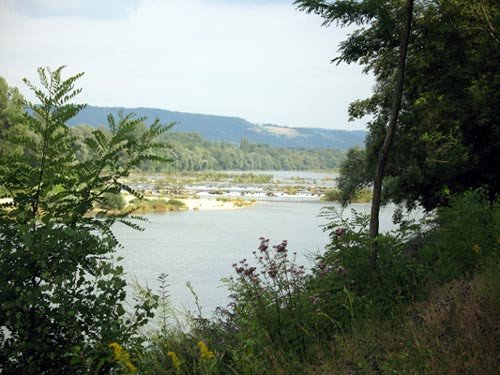El Rin salvaje, a la altura de la Barra de Istein.