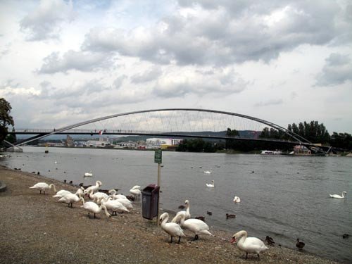 El puente de Los Tres Países, entre Huningue y Weil am Rhein. Guiarte Copyright