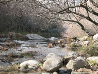 El río Manzanares en La Pedriz...