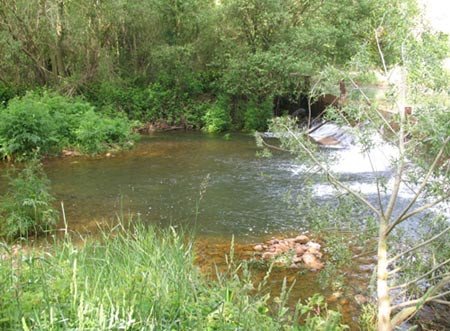 El rio Tuerto, entre bosques, en La Patera. guiarte Copyright