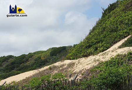 Parque de las Dunas, kilómetros de dunas y vegetación en estado natural, en el corazón de Natal. Guiarte Copyright