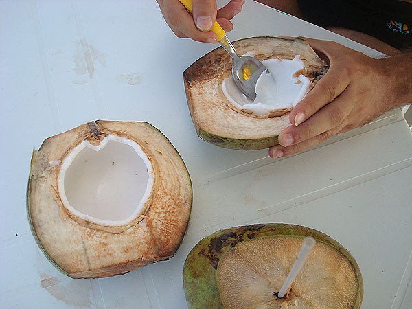 Natal es tierra de coqueros y el agua de coco verde es excelente para hidratarse, y puedes pedir que te los abran.