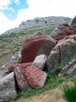 El recorrido es un paraíso par...